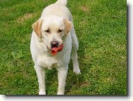 Nem� r�da pr�zdnou tlamku