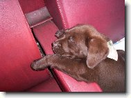 �esk� dr�hy, to je ono!!!!!