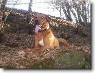 Sakri�,m�m l�z�k a� na vest�...:-)