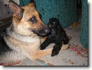 tak se m�me r�di