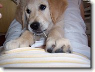 ���rky jsou stejn� nejlep�� :-D