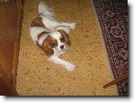 Tady jsem doma a tady je mi nejl�pe