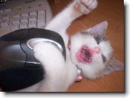 Tak jsem ji kone�n� chytla !!! To je m� prvn� my� !