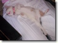 A takhle spink�me. :-)