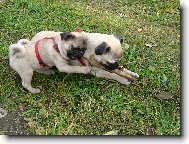 Jsme vesel�, jsme hrav�