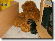 jste prost� v�ude