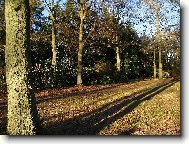 zase kon�� jeden den...