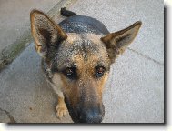 U�iska m�sto k�id�lek