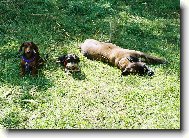 m�a elinka a bohunka