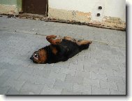 Sanny -desetim�s��n� �t�n�