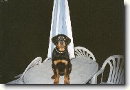 Argou�ek p�zuje :-)