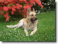 Nejfotogeni�t�j�� �len na�� rodiny