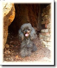 ...rad�i se schov�m do st�nu...