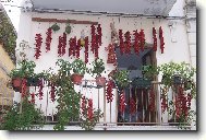 z�soba papri�ek nikdy neu�kod�