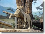 ODPO�INEK NA SLUNCI