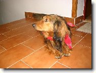 Tak jdeme na tu proch�zku ?