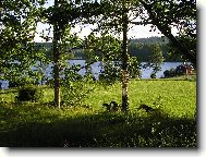 �v�dsk� krajina