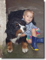 Ronynka a Ji���ek