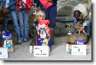 ...ja sa v�s neboj�m