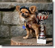 Riky na stupni v�azov