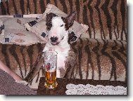 N�co dobr�ho p�ed span�m