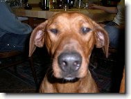 to mi to slu�� takhle zbl�zka!