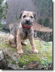 Podzimn� krasavice