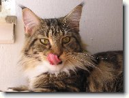 To byla dobrota! M�am!