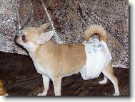 reklama na pl�nky :-)