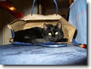 �e m� nenajde�!