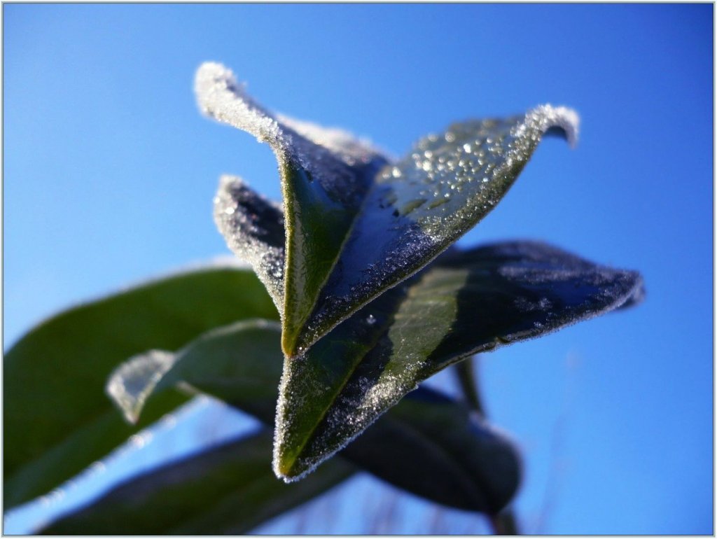 Foto: Slun��ko je pohladilo