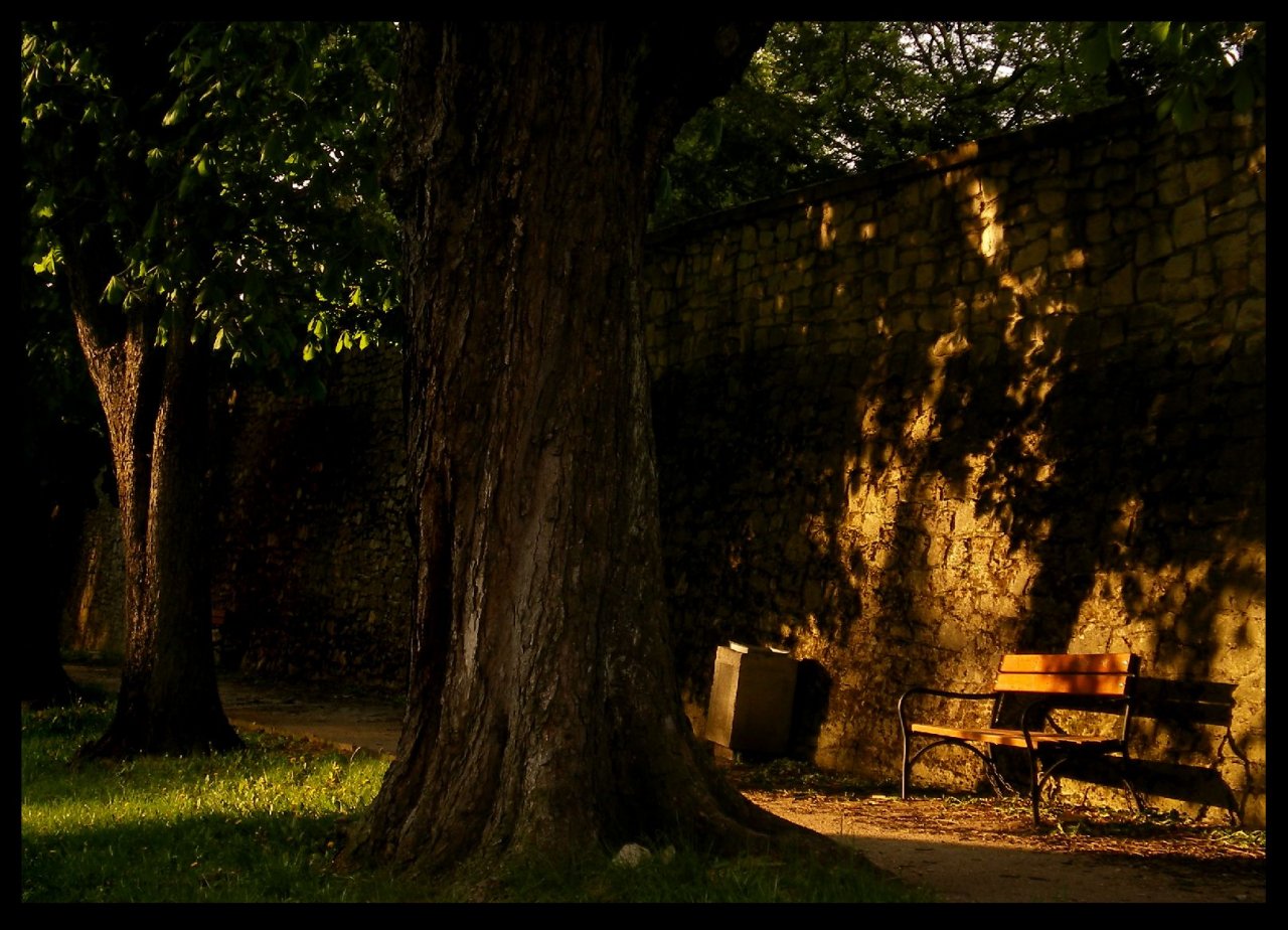 Foto: Lavi�ka na v�slun�:)