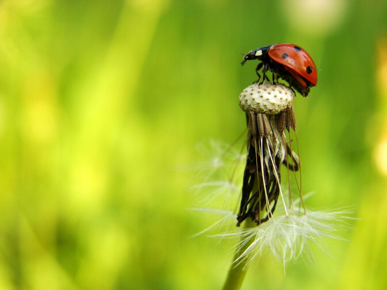 Foto: Ke startu, p�ipravit, pozoooor ....