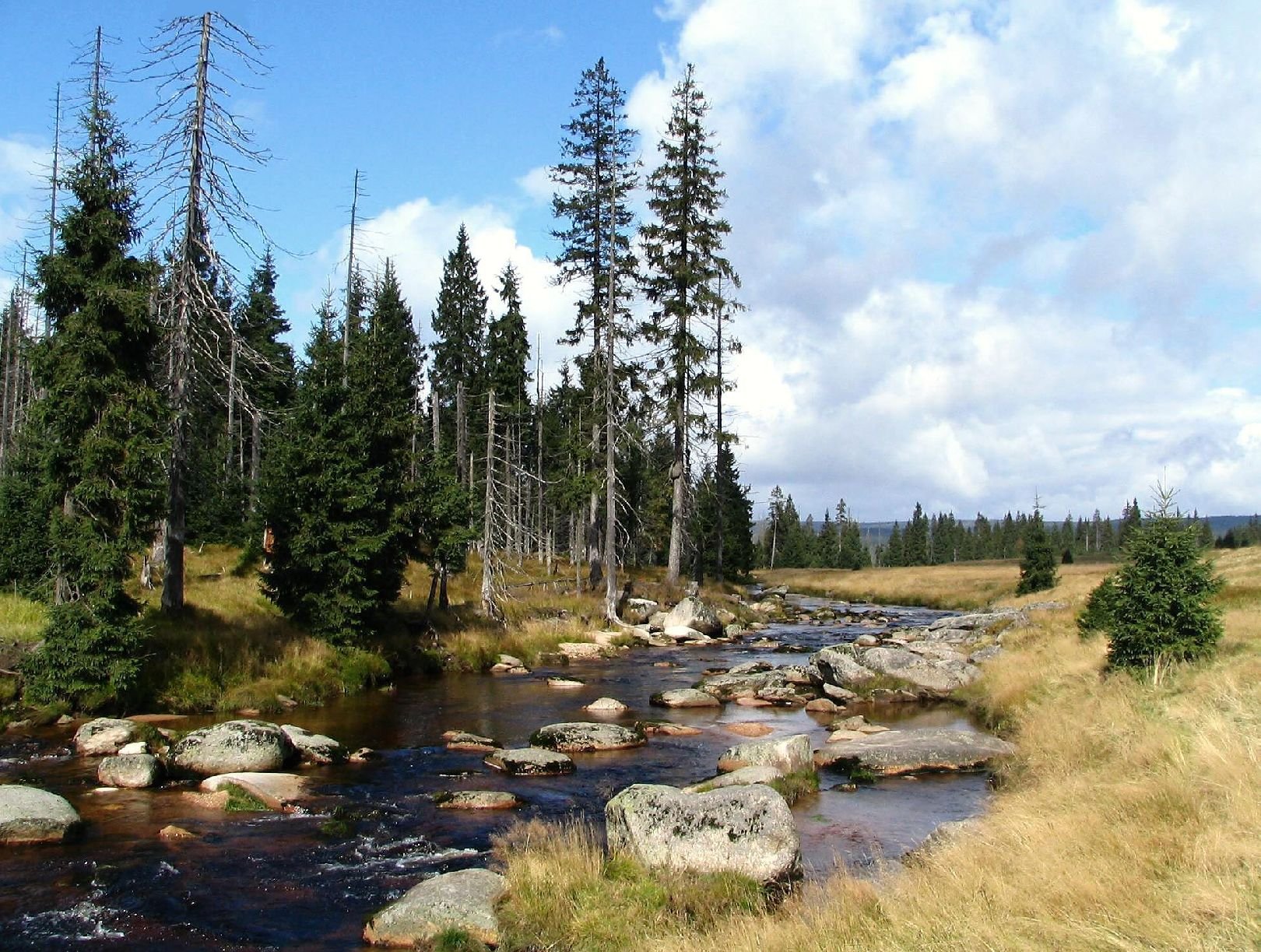 Foto: Jizersk� Louka