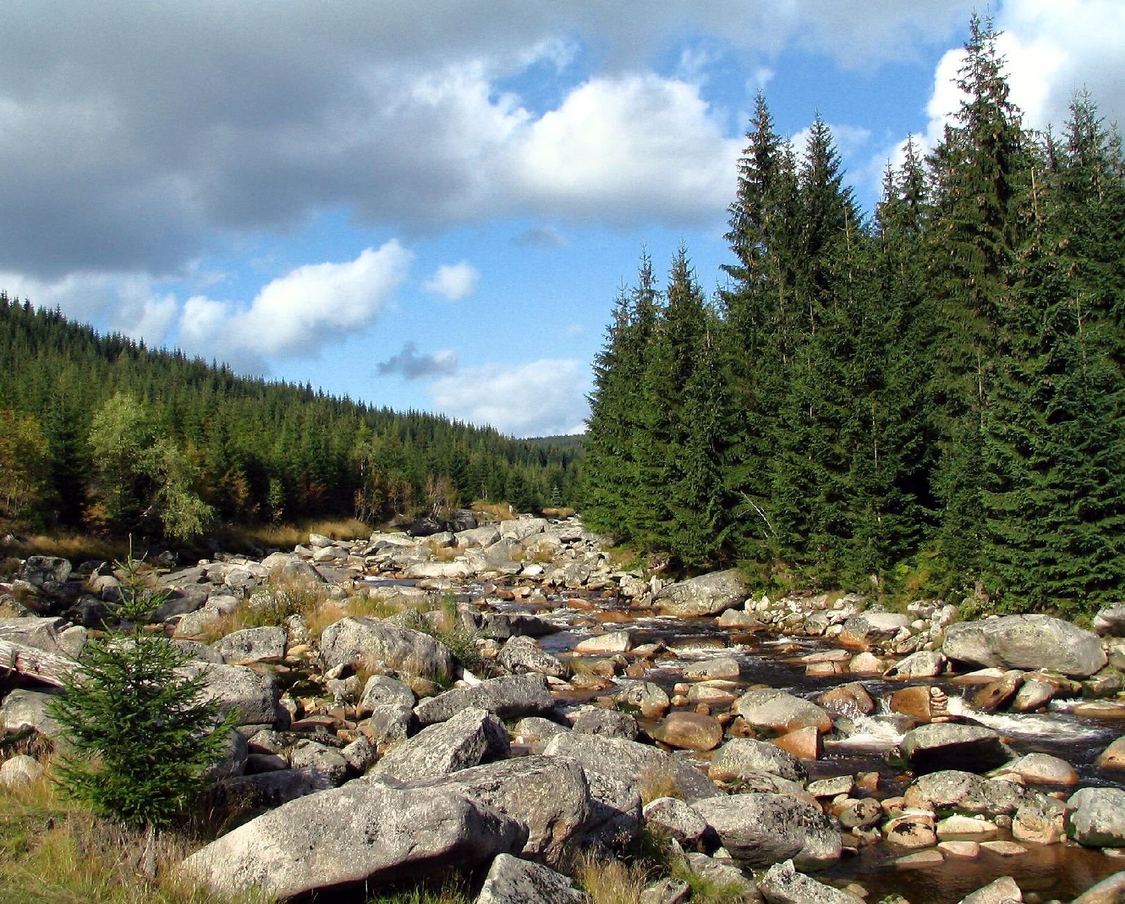 Foto: hrani�n� �eka