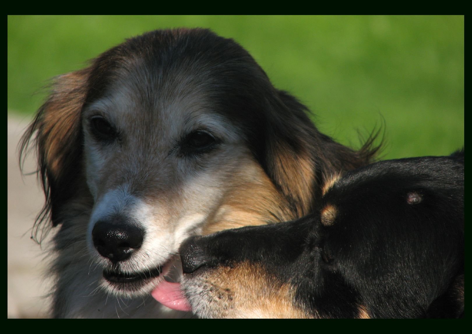 Foto: P��telstv�