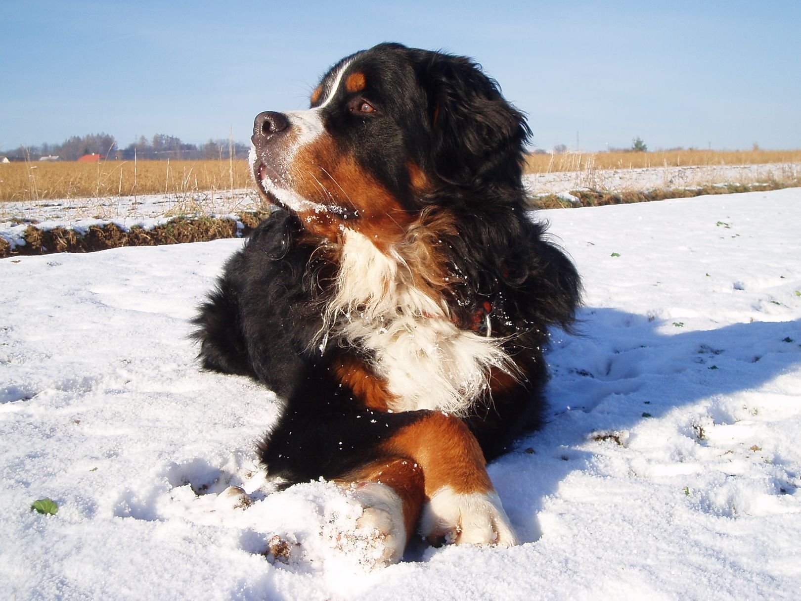 Foto: Zimn� pohodi�ka