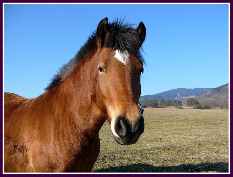 Foto: Pod Je�t�dem