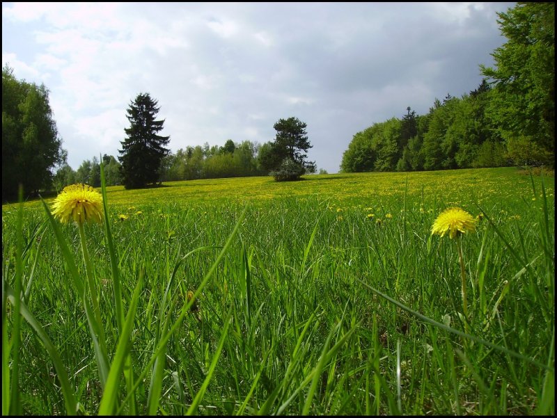 Foto: Kr�sn� p��roda