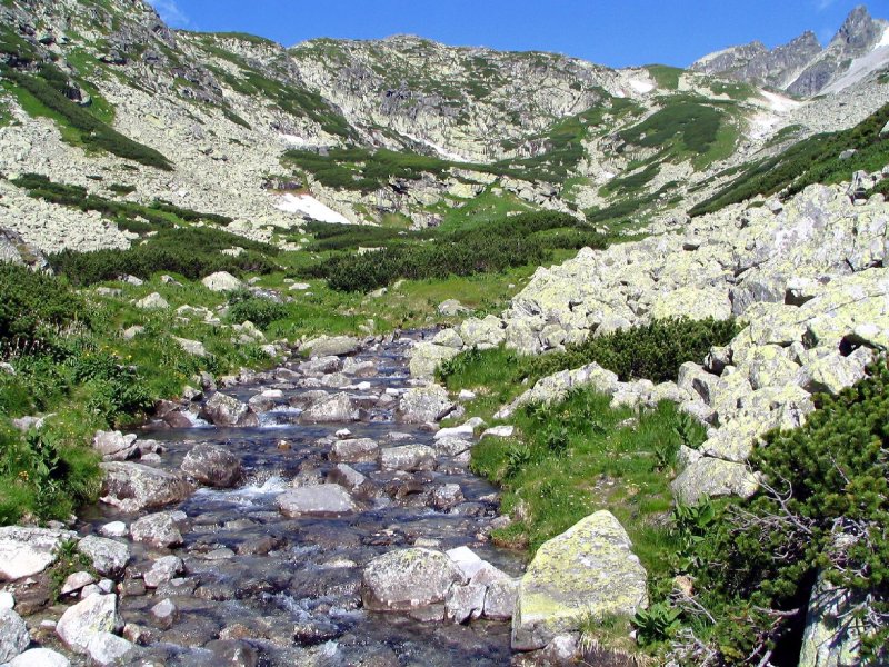 Foto: horsk� byst�ina