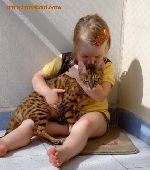 Chovatelska stanice ps�: LYNX LAND CZ