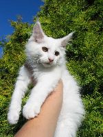 Chovatelska stanice ps�: SNOWGARDEN