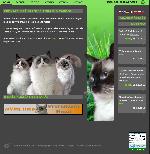 Chovatelska stanice ps�: ROHAN�S RAGDOLL, CZ