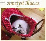 Chovatelska stanice ps�: AMETYST BLUE.CZ