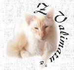 Chovatelska stanice ps�: Z VALIMARU, CZ